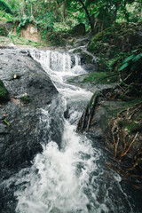 Serene Waterfall Flowing Amidst Lush Green Vegetation in Nature