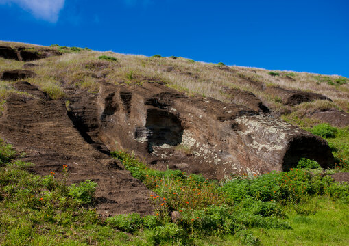 Unfinished moais in rano raraku, Easter Island, Hanga Roa, Chile