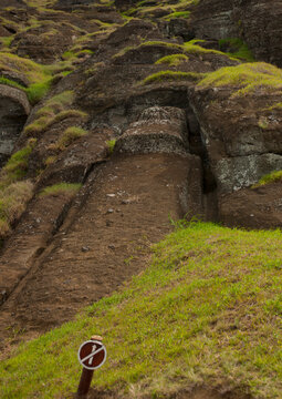 Unfinished moais in rano raraku, Easter Island, Hanga Roa, Chile