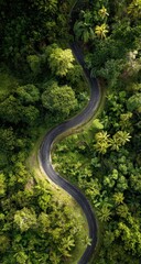 Winding road through lush green forest (1)
