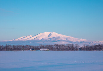 Mt. Umibetsu and the snowy field at dusk