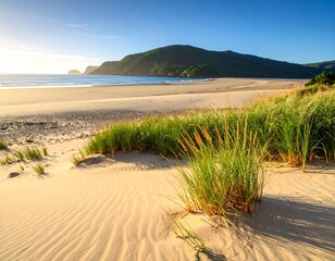 Pristine beach at dawn