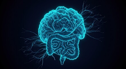 Glowing blue brain and intestines with nerve connections on dark background