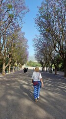 Springtime in  Zappeion, Athens, Greece 