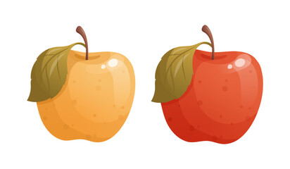 Red and yellow apples with green leaves. Ideal for food design, packaging, bright and seasonal projects. Clean and bright fruit design.Isolated vector illustration