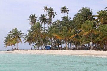 Pristine San Blas Islands Beach with Palm Trees and Turquoise Water