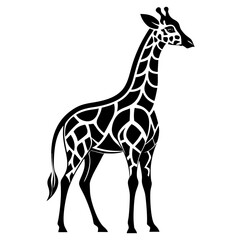 Naklejka premium Isolated brown giraffe walking, a tall wild mammal vector silhouette illustration