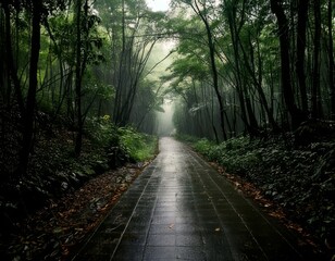 Obraz premium Forest path winding through green trees