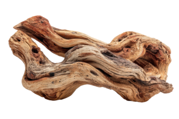 Intricate Driftwood Sculpture on Black Background Natural Wood Abstract Art Design Element on transparent background