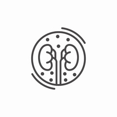 kidney diagram icon sign vector