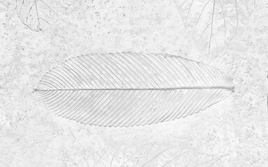  marks of leaf on the gray concrete texture background