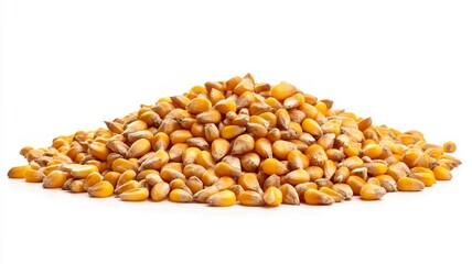 Golden corn kernels on white background. Artificial intelligence image
