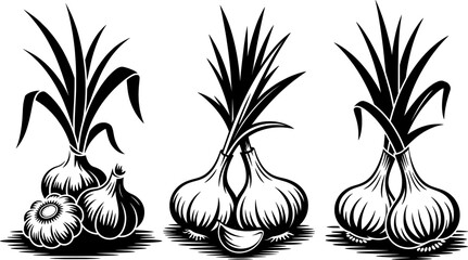 Elegant black silhouette of garlic bulbs with tall leaves, perfect for culinary designs, packaging, and botanical illustrations