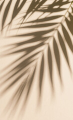 Sunlight casting a shadow of a tropical palm leaf on a beige wall. Minimalist summer concept with natural light.
