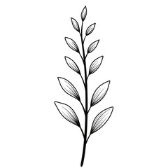 Flower black line art.