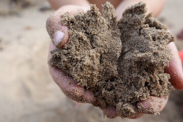 Hand holding dark rich natural garden soil sample