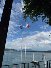 arona