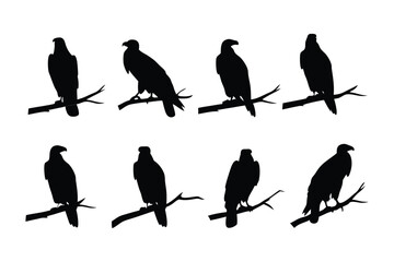 Silhouette Eagles on the Branch: A striking collection of silhouette eagles perched gracefully on branches, symbolizing freedom and strength.