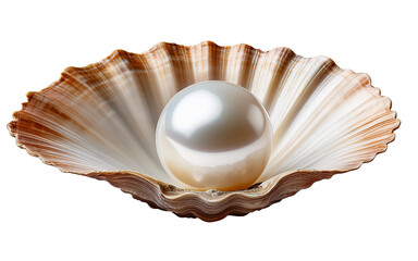 Pearl in a shell on a white background