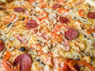 Meat Pizza with Bacon and Salami with Melted Cheese Close-Up