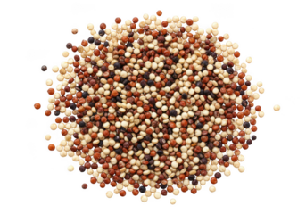 Pile of tri color quinoa seeds isolated on transparent background
