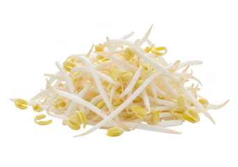 Fresh bean sprouts pile isolated on transparent background