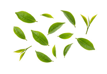 Vibrant green tea leaves scattered, symbolizing freshness and natural wellness for health products