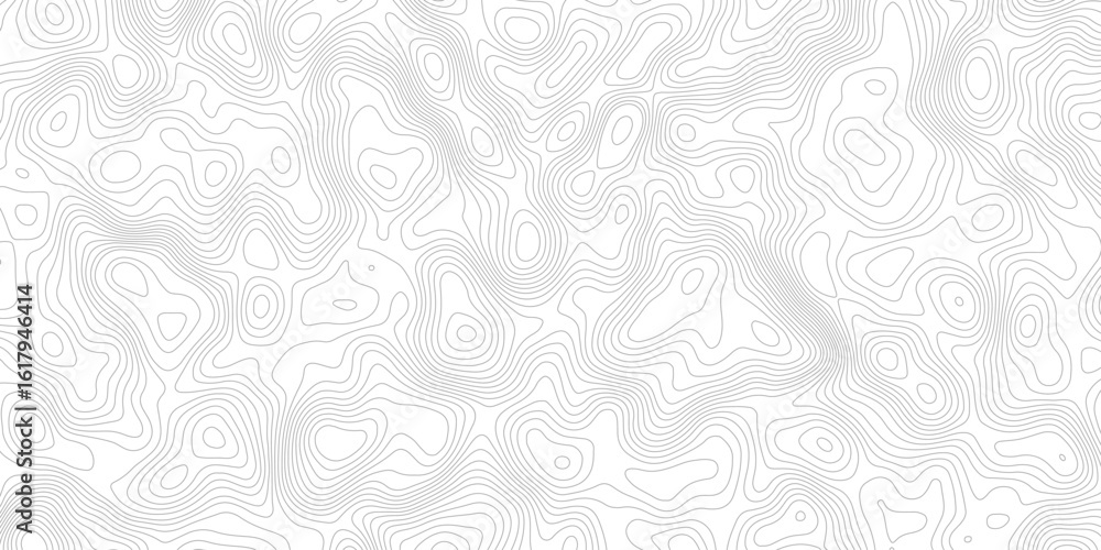 Poster a white background with gray contour lines depicting a topographic map. the lines show changes in el