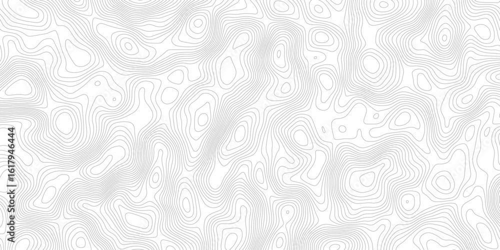 Poster a white background with gray contour lines depicting a topographic map. the lines show changes in el