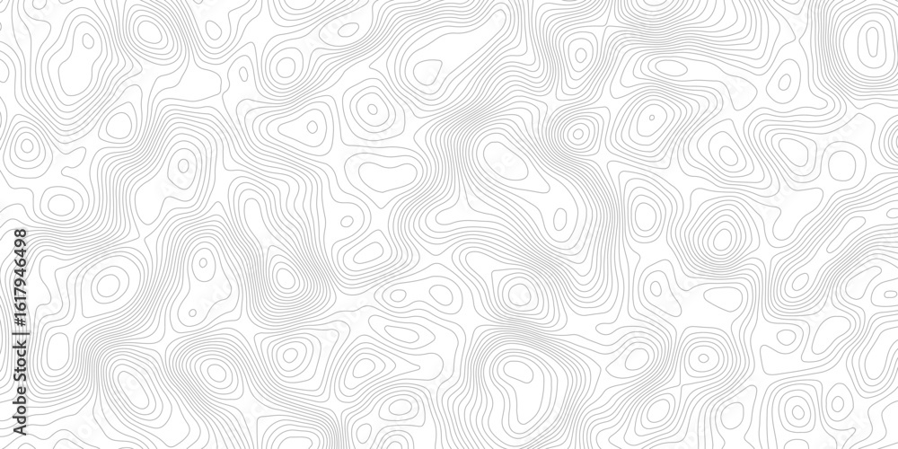 Poster a white background with gray contour lines depicting a topographic map. the lines show changes in el