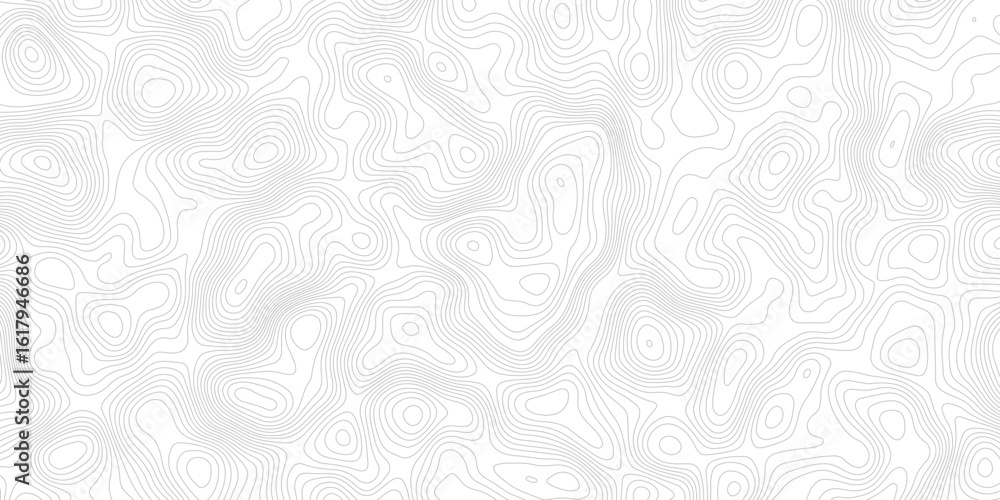 Poster a white background with gray contour lines depicting a topographic map. the lines show changes in el