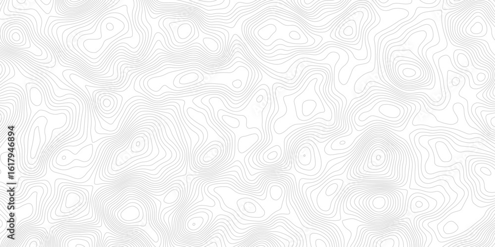 Poster a white background with gray contour lines depicting a topographic map. the lines show changes in el