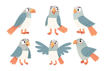 Joyful Parrot Collection: A delightful ensemble of six adorable parrots, each with a unique pose and personality, bringing a touch of whimsy and cheer.
