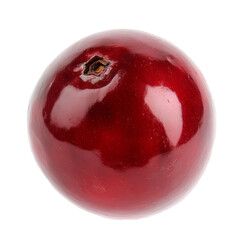 Obraz premium Glossy red cranberry with reflective surface and natural imperfections on transparent background