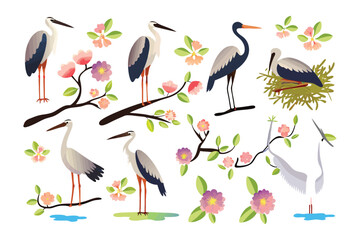 Serene Heron in Blossom: A delicate watercolor-style illustration of serene herons perched amongst blooming branches, set in a tranquil and flourishing garden.