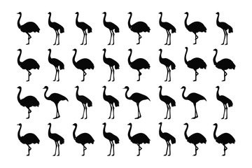 Shadow Dance: A rhythmic array of ostrich silhouettes in a minimalist monochromatic design. These silhouettes add a dynamic visual texture.