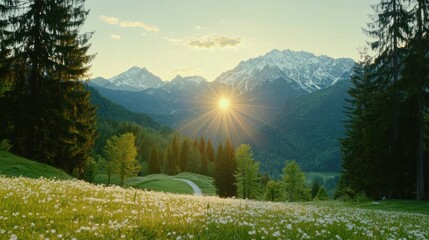 Majestic Alpine Meadow at Sunset, Snow-capped Peaks, and Golden Rays