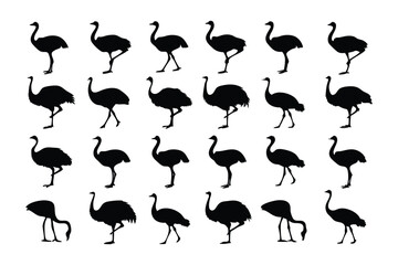 Obraz premium Ostrich Silhouette Set: A collection of stylized, black silhouette of ostriches, each in a unique pose, offering a versatile design asset for varied applications.