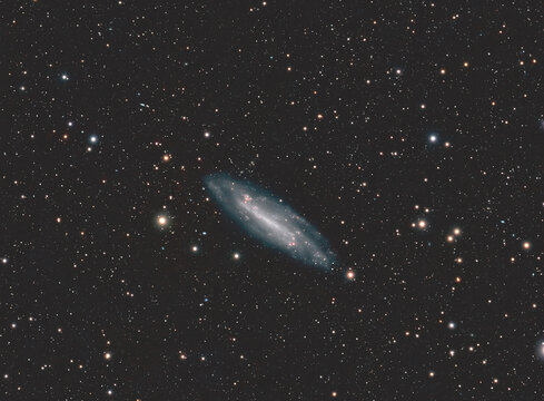 Barred spiral galaxy NGC4236 in Draco constellation