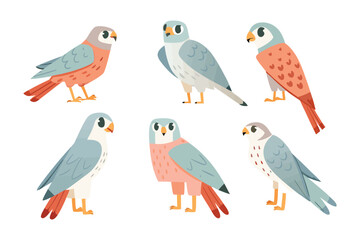 Elegant Falcons Collection: An enchanting assortment of six graceful falcons, each meticulously depicted with vibrant hues and intricate details. These beautiful birds of prey.