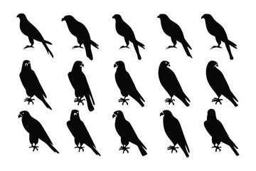 Silhouette of Birds: A striking silhouette of birds, symbolizing freedom and strength, graces against the stark contrast of a blank canvas.