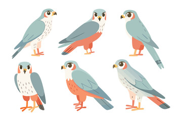 Cute Falcon Illustration Set