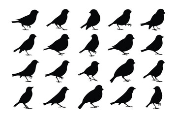 Black Bird Silhouette Collection: An artistic collection of various silhouette of small birds showcase the subtle nuances of the bird's forms