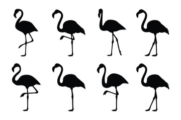 Flamingo Silhouette Set: A minimalist collection showcases the elegant silhouette of a flamingo in a series of dynamic poses, evoking the grace and vibrancy of these exotic creatures.
