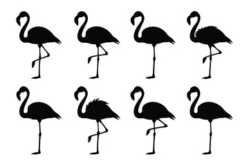 Flamingo Silhouette Pattern: An artful pattern of flamingo silhouettes, arranged elegantly, each embodying grace and natural charm. A celebration of beauty and artistic design.