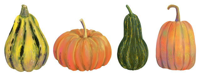Hand drawn autumn illustrations set with a cozy warm orange, yellow and pumpkin, realistic texture and subtle highlights. Perfect for seasonal designs, harvest themes, Halloween, Thanksgiving, fall.
