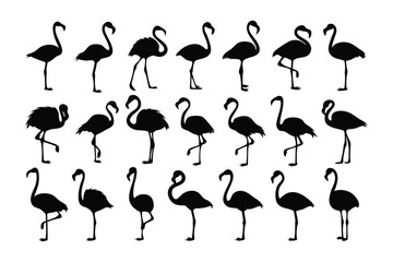 Flamingo Silhouettes: A captivating display of flamingo silhouettes elegantly arranged, each figure showcasing the bird's graceful form and intricate details.