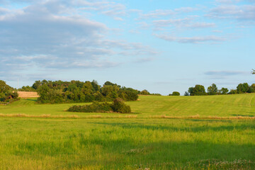 Obraz premium Lush Green Fields Under a Clear Blue Sky in Rossdorf Germany