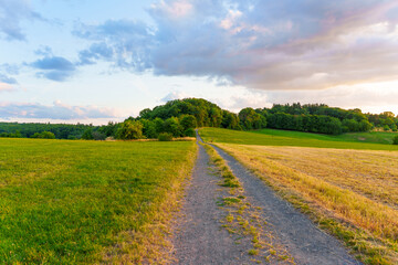 Serene Landscape Pathway Through Lush Fields at Dusk