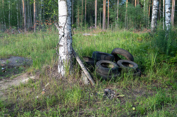 A large pile of worn tires is sitting in the grass beside a tree